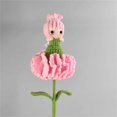 thumbnail image 2 of Clearance! Crochet Kit Crochet Carnation Fairy Crochet Doll Kit for Beginners with Video Tutorials Crochet Kit Crochet Yarn and Hook Set for Beginners Knitting Kit for DIY Knitting DIY,Pink, 2 of 4
