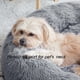 thumbnail image 2 of Cama relajante para perros y gatos WESTERN HOME WH, cálida y suave, 2 of 6