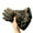 Black, variant on Winter Gloves Thermal Touchscreens Ski Gloves Windproof Warm Mittens for Skiing