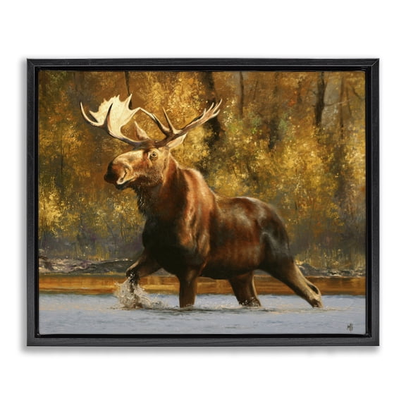 Stupell Industries Rustic Lodge Moose Stepping River Foliage Black Floating Frame Canvas Art, 21 x 17, by Mark Kelso