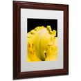 thumbnail image 2 of Trademark Fine Art "Day Lily Abstract" Canvas Art by Kurt Shaffer, White Matte, Wood Frame, 2 of 4