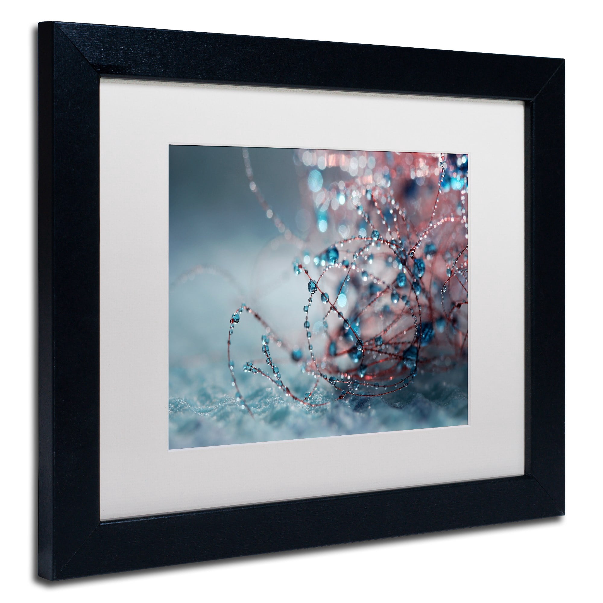 Trademark Fine Art "Blue Silence" Canvas Art by Beata Czyzowska Young, White Matte, Black Frame
