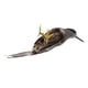 thumbnail image 4 of Emución Pájaro Artificial Taxidermia Decoración De Árbol Natural Juguete De Navidad 12cm RECOGIDA perfecl  Pájaros de la pluma, 4 of 6