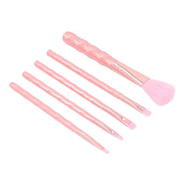 Makeup Brush Set, 5pcs Professional Easy To Clean Portable Cosmetic Brush Set for Beginners