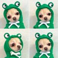 thumbnail image 3 of Transformación de frutas perro gato perro pequeño y mediano otoño e invierno suéter ropa de lana suministros mascota Teddy Fadou, 3 of 4