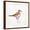Brown Frame, variant on Art.com Coastal Plover III Linen Stretched Canvas Print Wall Art by Jeanette Vertentes, 24" x 24"