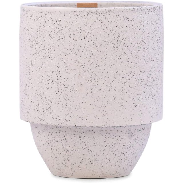 Bougie Parfumée Paddywax Parks dans un Pot en Céramique Texturée Réutilisable avec Mèche en Bois Craquelée, Bougie de Soja à Combustion Propre avec Env. 77 Heures de Combustion, Bougies-Cadeaux Décoratives pour la Maison, Glacier, 11 oz
