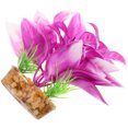 thumbnail image 1 of unbranded Para Acuario Con Tropicales Falsas En Tono Natural, 1 of 8