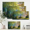 thumbnail image 4 of Designart ' Subtle Sunset Light Through The Trees I ' Traditional Canvas Wall Art Print, 4 of 4