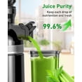 thumbnail image 4 of GlowWise Cold Press Juicer Machine - 4.35 Extra Wide Feed Chute, Quiet Masticating Juicer for Fruits & Vegetables, Easy to Clean & Assemble, Ideal for Home Kitchens, Healthy Families & Fitness Lovers, 4 of 7