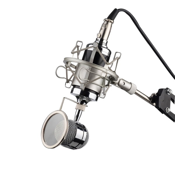 Recording Condensor Microphone Professional Sound Dynamic Mic Studio