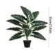thumbnail image 3 of Árbol de dinero artificial en maceta,follaje tropical artificial,casa de plástico realista para decoración interior y exterior,vegetación para jardín,porche,alféizar de la ventana,oficina y, 3 of 6