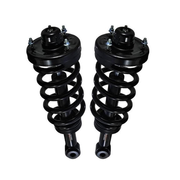 Rear Complete Spring Struts for Ford Expedition Eddie Bauer 03/10/2010 to 2013