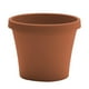 thumbnail image 1 of Maceta Bloem Terra de terracota de 10 cm con drenaje, 1 of 5