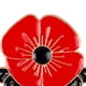 thumbnail image 2 of Broches Flores Con Clip Solapa Metal para El Día Del Recuerdo (C) Rojo, 2 of 4