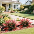 thumbnail image 5 of Faux Agave Plant Outdoor, 28 inch Large Artificial Succulents Stems, Fake Agave Plants for Home Decor (2Pack, Red), 5 of 6