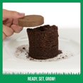 thumbnail image 3 of The Cat Ladies Organic Coco Coir Potting Soil for 3-4 inch Pots - 6 Pack - IB Pet Treat Variety, 3 of 6