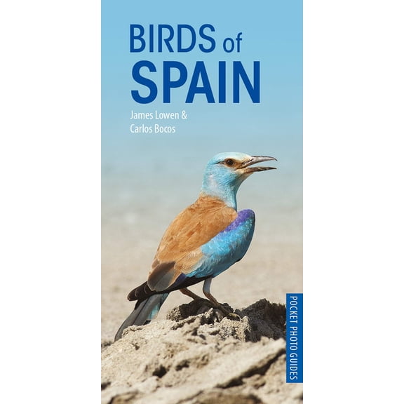 Pre-Owned Birds of Spain (Paperback) 1472949277 9781472949271