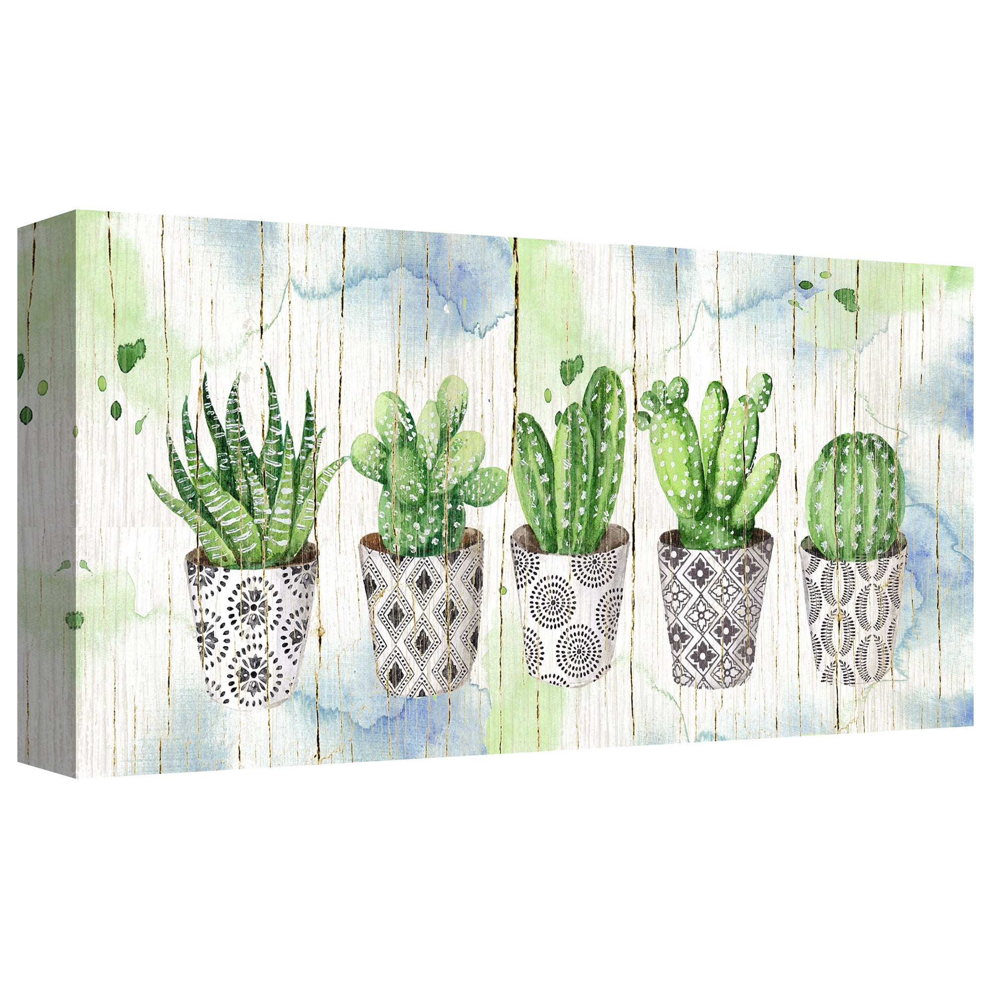 Potted Succulents on Wood by Elena Vladykina Wrapped Canvas Painting Art Print