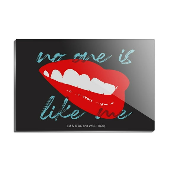 Birds of Prey Harley Quinn No One Like Me Rectangle Acrylic Fridge Refrigerator Magnet