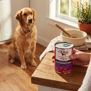 Ol Roy Filet Mignon Flavor Cuts in Gravy Wet Dog Food, 13.2 oz Can