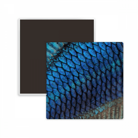 

Fish Blue Mystery Enlarge Square Ceracs Fridge Magnet Keepsake Memento