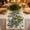 White, variant on PUSPU St. Patrick's Day Table Runner, Green Shamrock Dining Table Decor for Home Party Kitchen