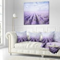 thumbnail image 2 of Designart Fields of Lavender Against Blue Sky - Landscape Printed Throw Pillow - 16x16, 2 of 4
