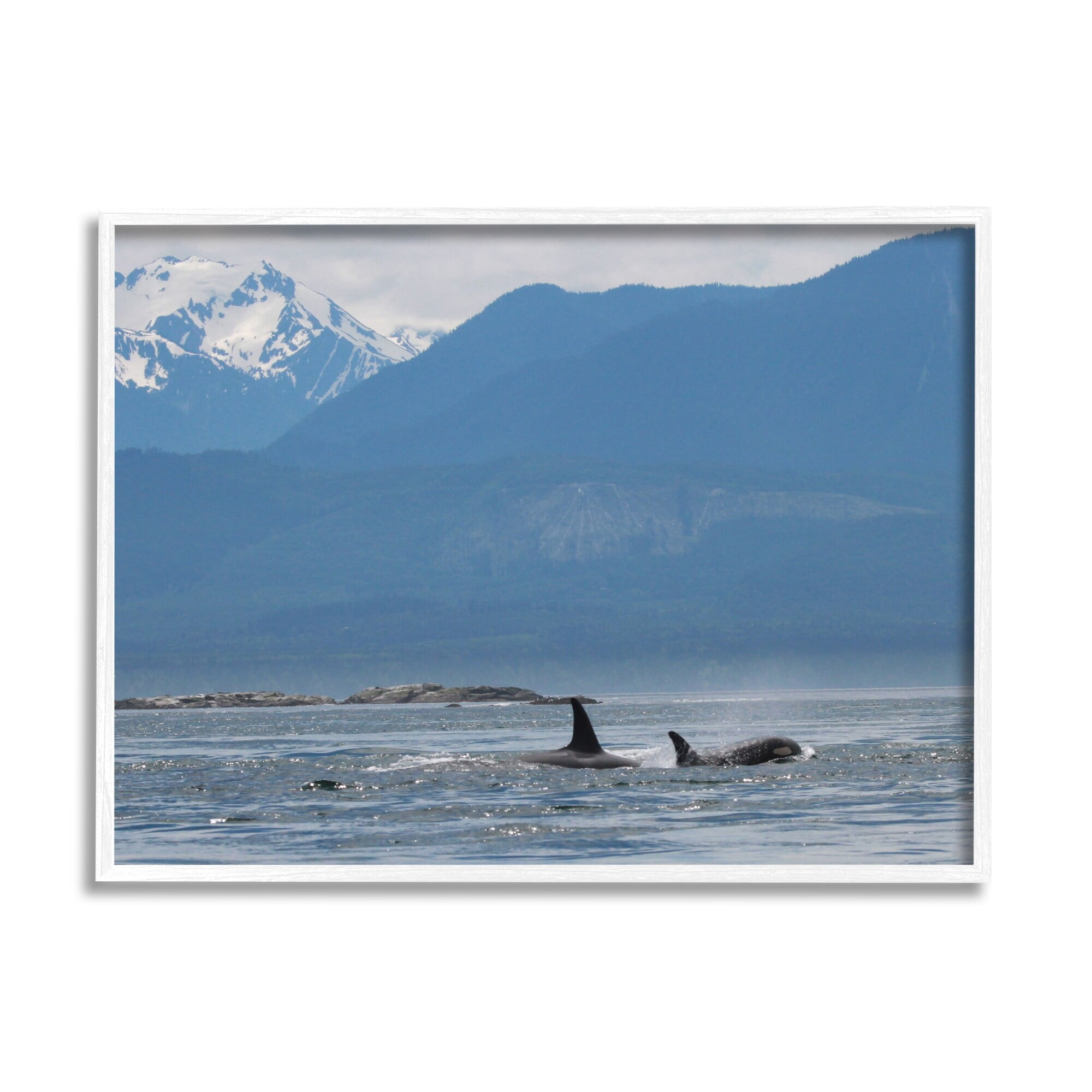 Stupell Industries Killer Whale Fines Ocean Mountain Peak Landscape Orcas, 30 x 24, Design by Daniel Sproul