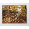 thumbnail image 1 of Ziman, Peter 14x11 White Modern Wood Framed Museum Art Print Titled - Autumn Still Life, 1 of 4