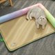 thumbnail image 5 of Cama para perros mediana para perros grandes, medianos y pequeños, rectangular, lavable, extraíble, cama para cachorros, suave y calmante, duradera para mascotas con fondo antideslizante, 5 of 6