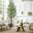 thumbnail image 5 of Laintene 7ft Artificial Olive Tree – Realistic Faux Olive Tree with 1872 Leaves & Black Pot, Indoor Greenery for Living Room, Office, or Home Decor, Easy Assembly, 5 of 7