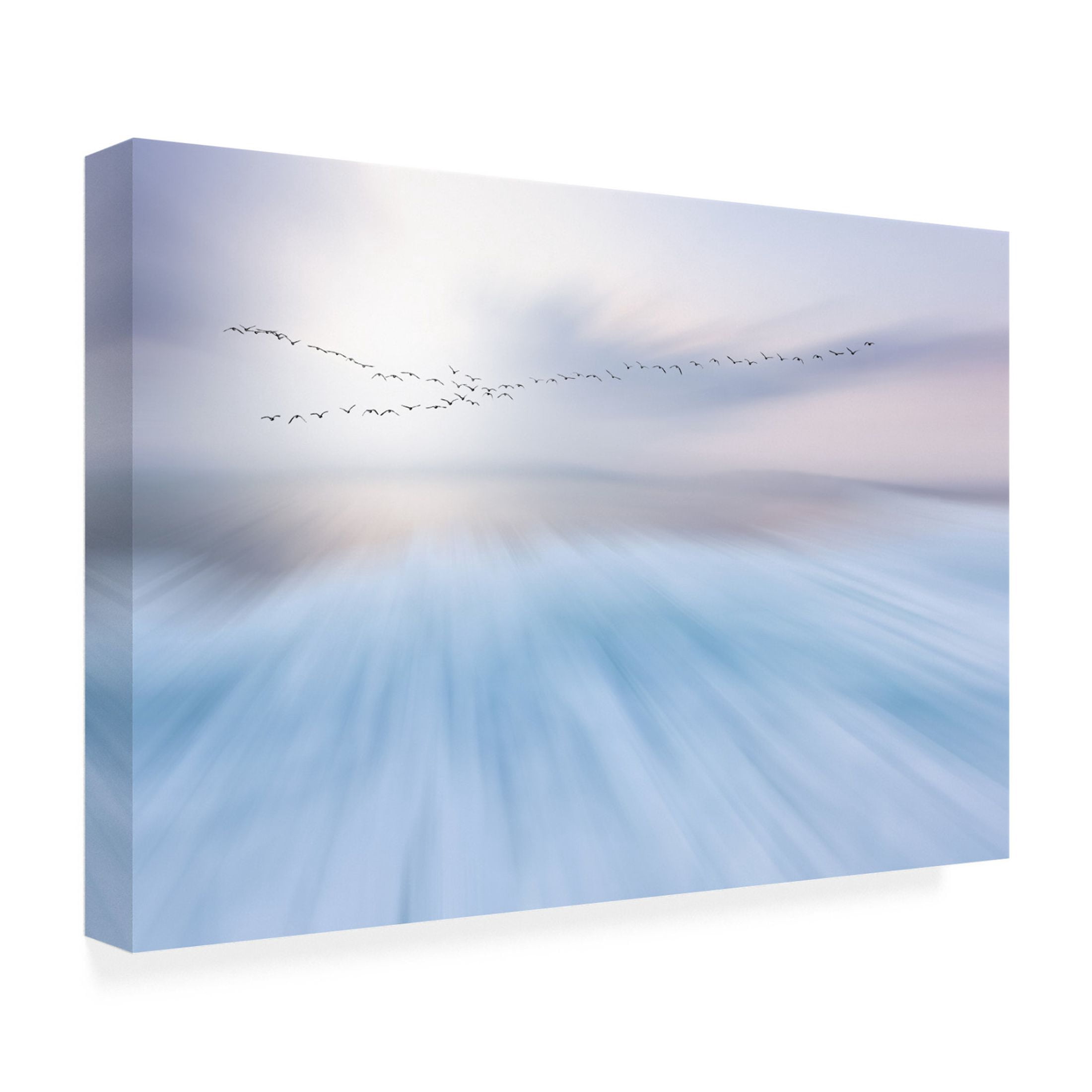 Canvas Wall Art - Uschi Hermann 'Fly Over' Wall Art for Living Room, Bedroom, or Office D?cor by Trademark Fine Art - 24 x 16 Inches