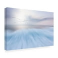 thumbnail image 4 of Canvas Wall Art - Uschi Hermann 'Fly Over' Wall Art for Living Room, Bedroom, or Office D?cor by Trademark Fine Art - 24 x 16 Inches, 4 of 4