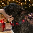 thumbnail image 2 of Pawtitas Christmas Dog Collar Cute Puppy Collar Large Gift Wrap, 2 of 8