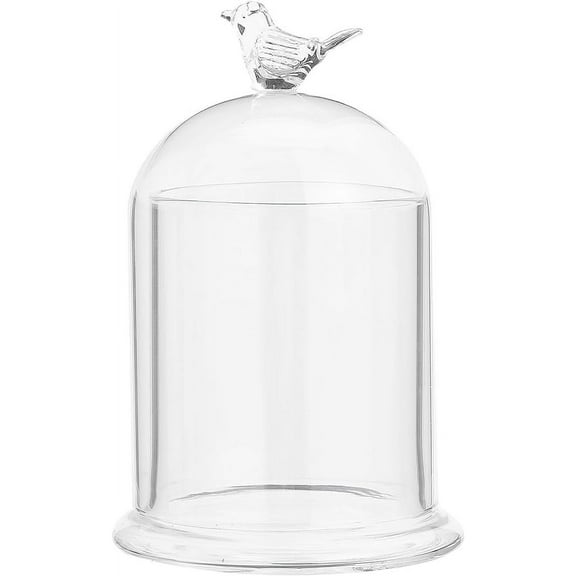 Arch Shape Bird Pattern Glass Cloche Dome Cover Terrarium for Eternal Flower Plant Kits Display 4x6.5inch