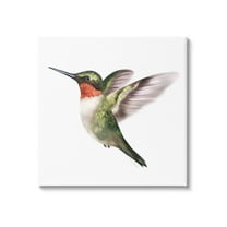 Stupell Industries Flying Hummingbird Wings Hovering Casual Painting Graphic Art Gallery Wrapped Canvas Print Wall Art, Design by Studio Q