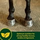 thumbnail image 2 of Suplemento Farnam Horseshoer's Secret EXTRA STRENGTH 1,7 kg, 2 of 8
