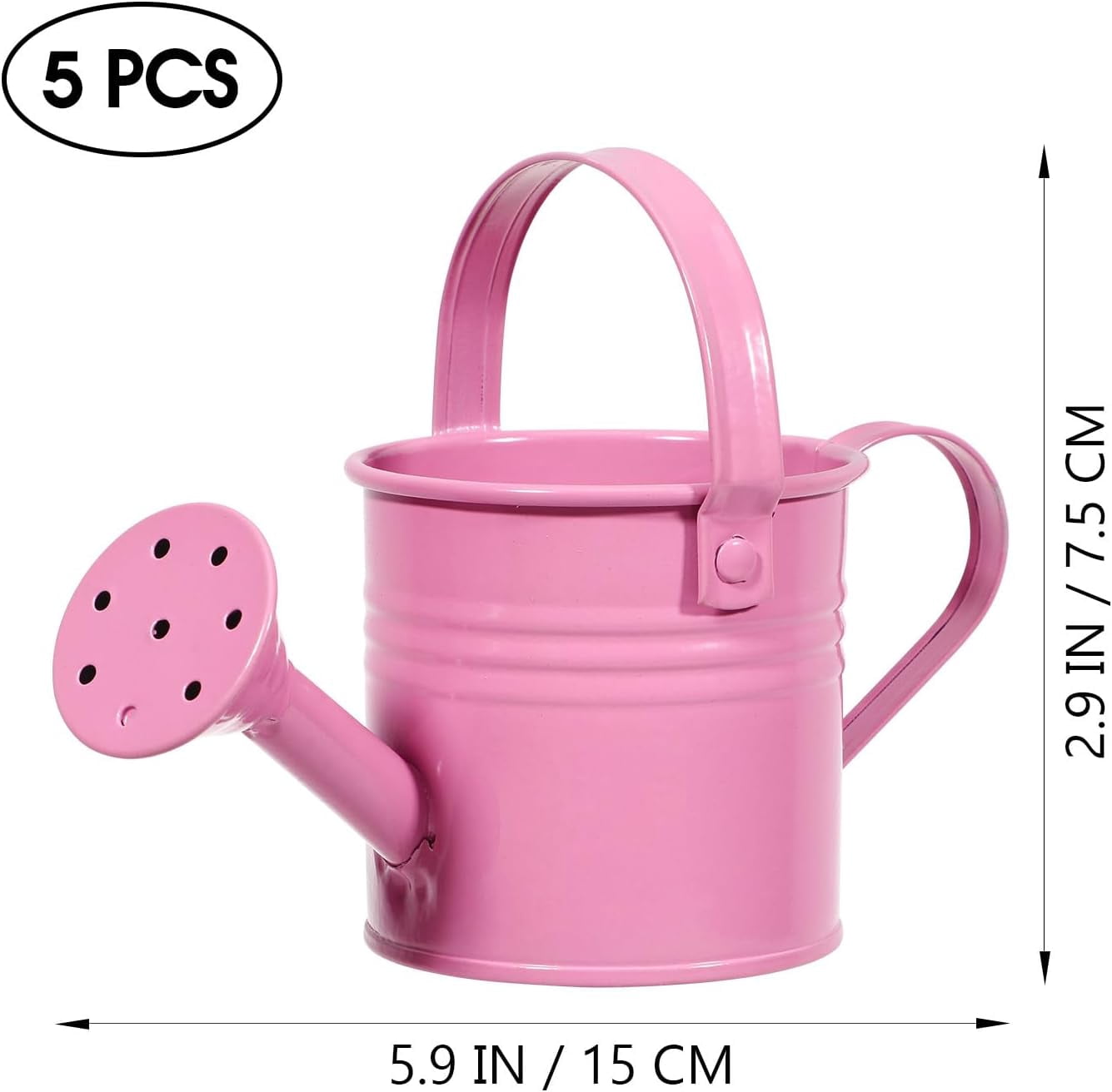5pcs Kids Watering Can: Small Metal Iron Watering Can for Garden Plants, Mini Garden Can for Indoor Outdoor Use, Random Color