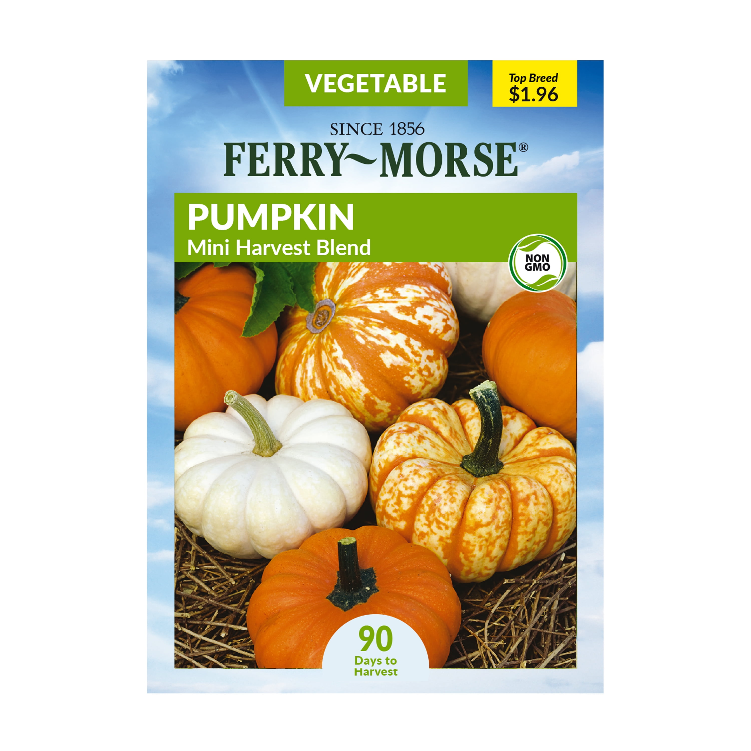 FerryMorse 2G Pumpkin Mini Harvest Blend Vegetable Plants Seeds Packet