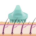 thumbnail image 3 of Masajeador del cuero cabelludo y masajeador anticelulítico, depurador del cuero cabelludo para el crecimiento del cabello, removedor de celulitis de silicona para exfoliante, cepillo para el, 3 of 5