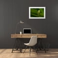 thumbnail image 3 of He, Mike 14x11 White Modern Wood Framed Museum Art Print Titled - Take A Look Outside, 3 of 4