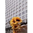 Buy CineStill 400D 35mm 36 Exp Color Film Online at Lowest Price in Buy CineStill 400D 35mm 36 Exp Color Film Online at Lowest Price in