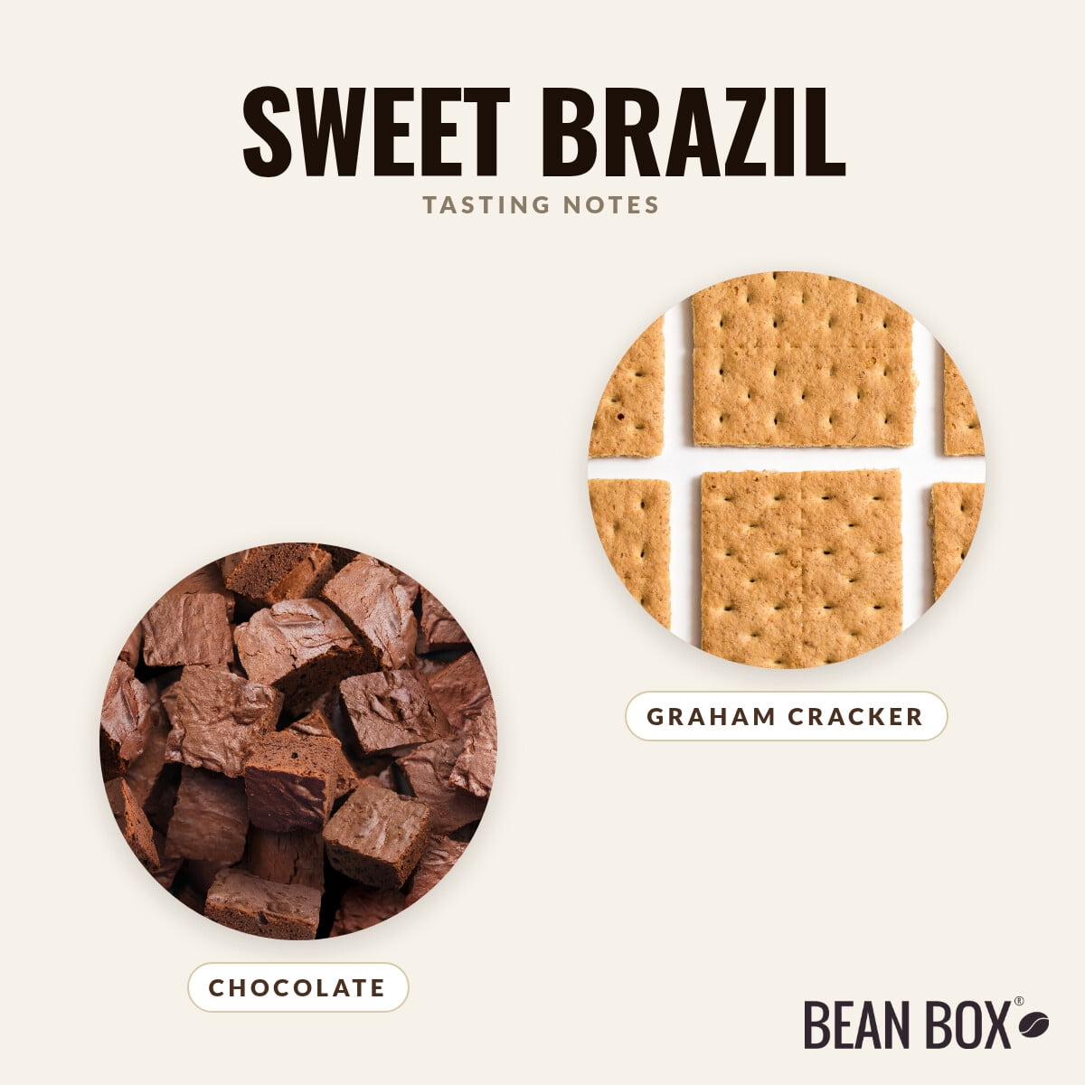 Sweet Brazil - Roasted by 8th & Roast Coffee Co. - Whole Bean Coffee - 2lb Bag
