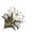 Black & Gold, variant on Push Up Confetti Poppers, (4/Pkg)