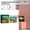C, variant on WIFKLSIIPG Multipurpose Wood Furniture Kit 6 Colors Strong for Home Décor Restoration Scratch & Crack Filler