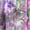 Purple, variant on Blouses for women dressy casual Polyester,Spandex Soft Clothing M Blue womens blouses