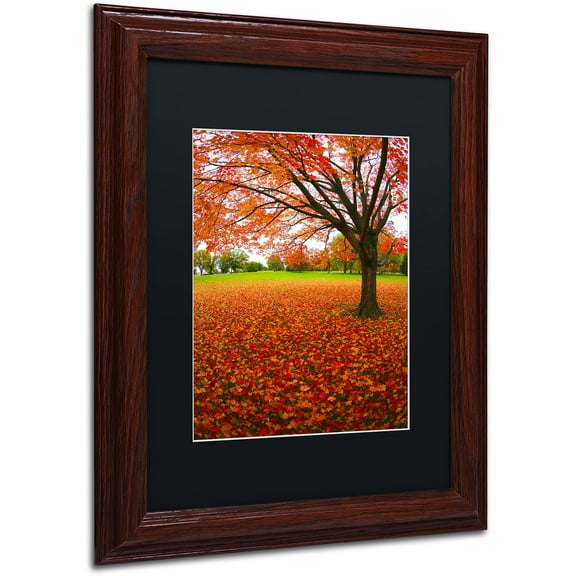 Trademark Fine Art "Autumn Expressions" Canvas Art by CATeyes, Black Matte, Wood Frame