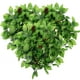 thumbnail image 1 of 3 piezas de vides artificiales de uva, racimos de uva falsos, plantas colgantes de simulación., 1 of 6