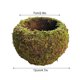 thumbnail image 4 of Sailing Planta en maceta con bolas de musgo de estilo japonés, maceta de musgo elegante y natural, 4 of 10